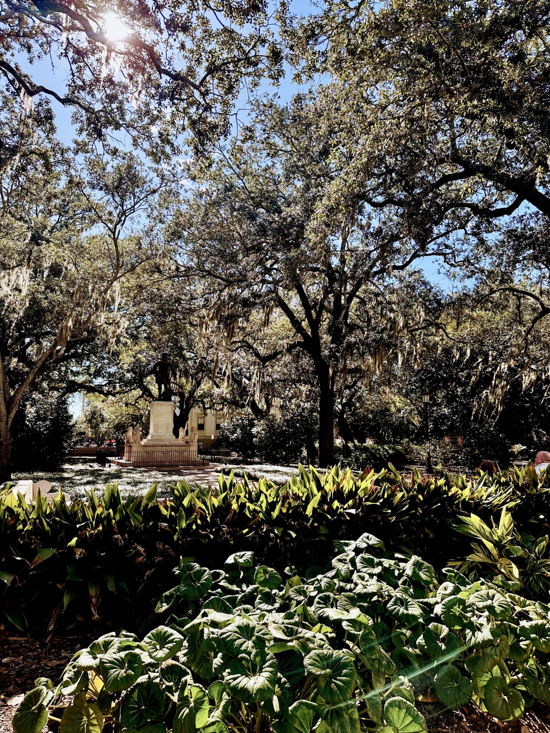 Sunlit park with oak trees and a white fountain in the background